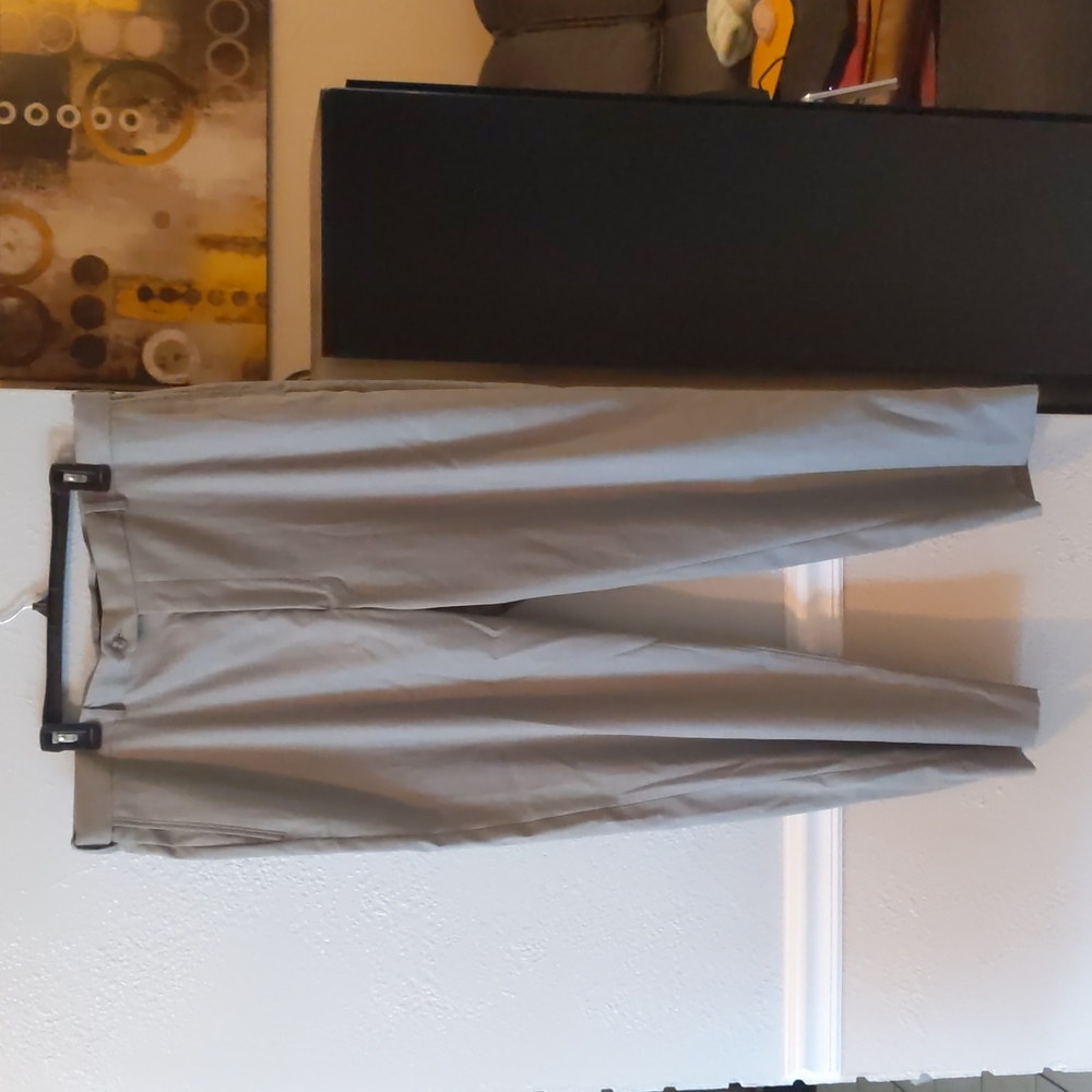 Dress pants